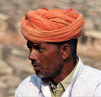 der Mahout von Jaipur. Rajasthan