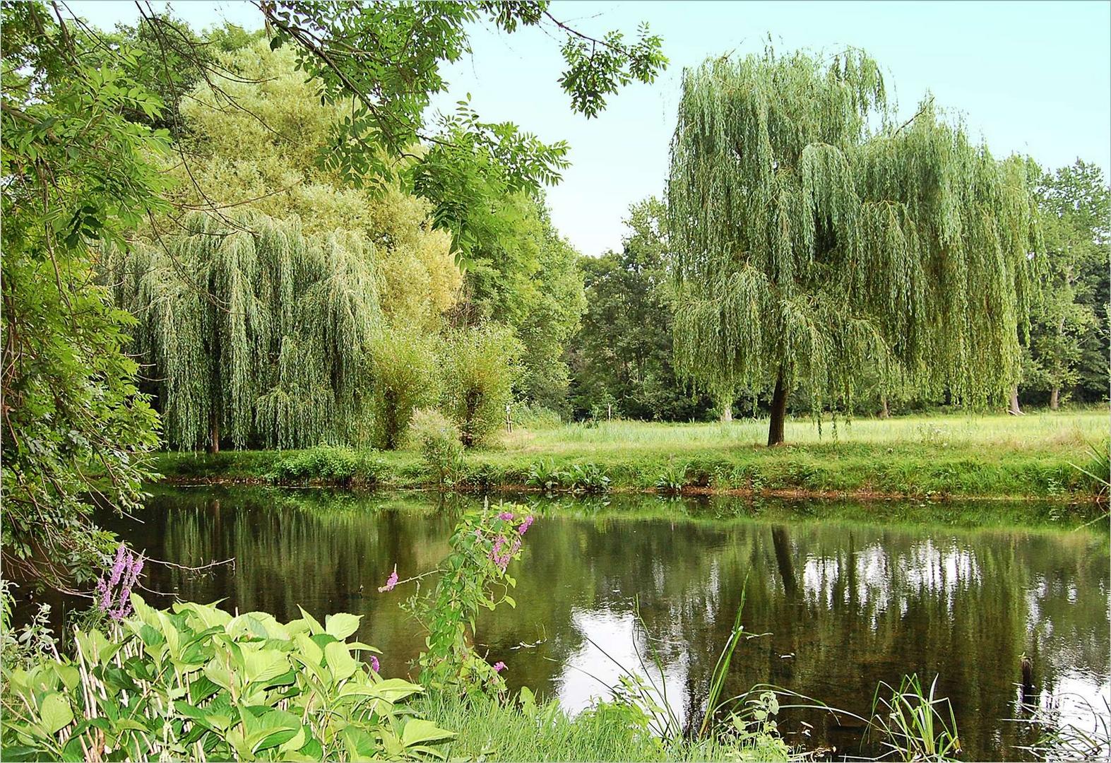 der Mai, der Mai - Foto & Bild | brandenburg, fluss & see, blankensee der Mai, der Mai - Foto & Bild | brandenburg, fluss & see, blankensee