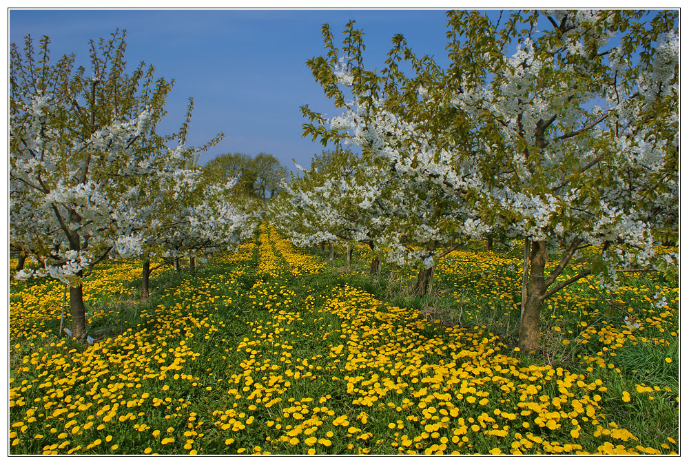 Der Mai ist gekommen&hellip;.. Foto &amp; Bild jahreszeiten, frühling, reise