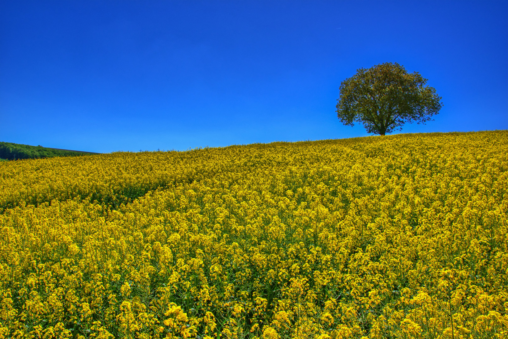 Der Mai ist gekommen Foto &amp; Bild landschaft, jahreszeiten, frühling
