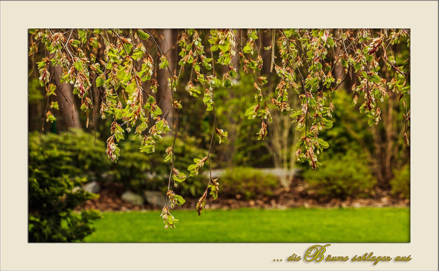 Der Mai ist gekommen. Foto &amp; Bild garten_haus, mai, bäume Bilder
