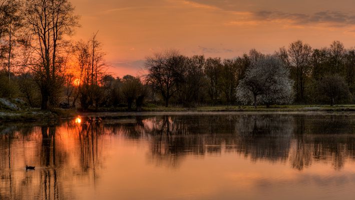 Der Mai ist gekommen,die Bäume schlagen aus....