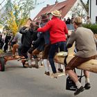 der Maibaum ist gefällt