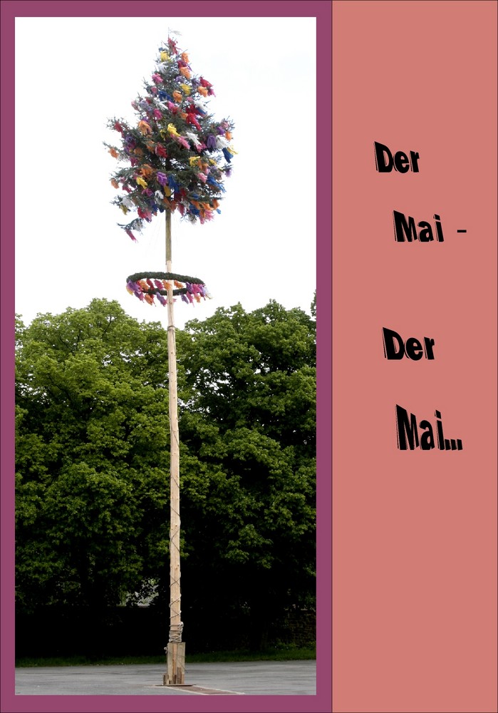 der maibaum steht...