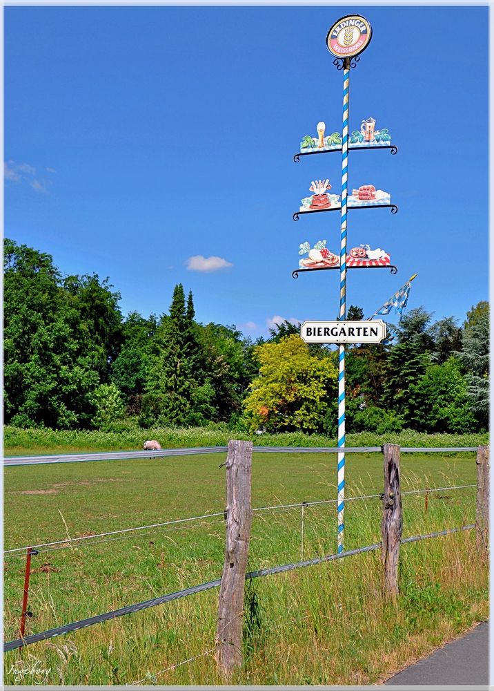 der Maibaum steht - fast überall