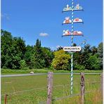 der Maibaum steht - fast überall