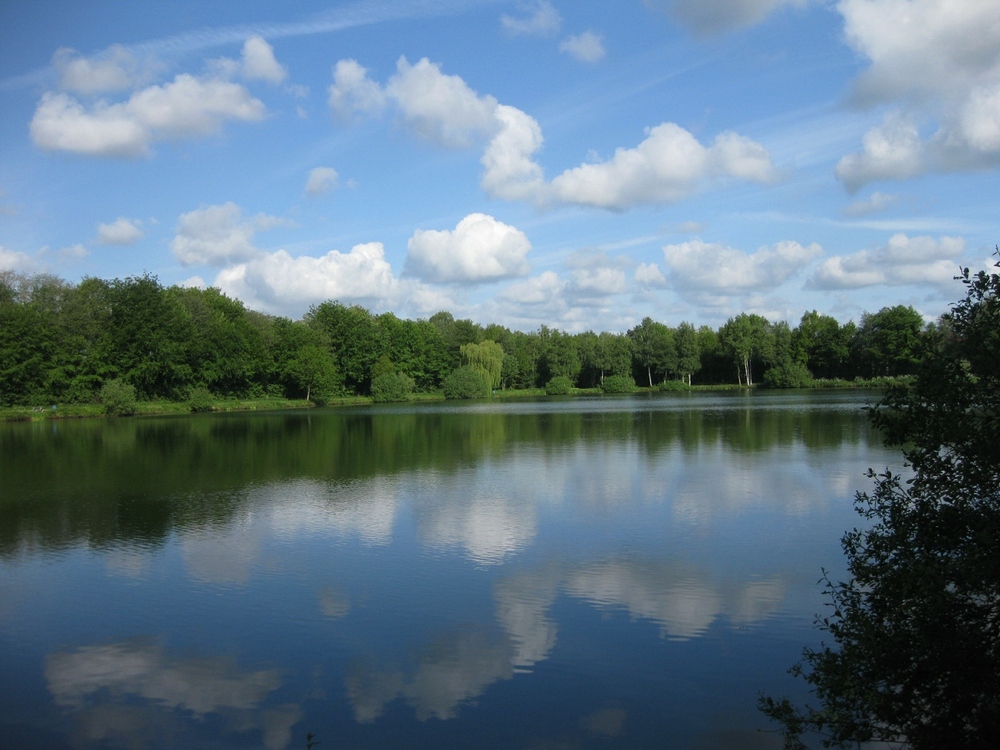 Der Maiglöckchensee in Scharrel