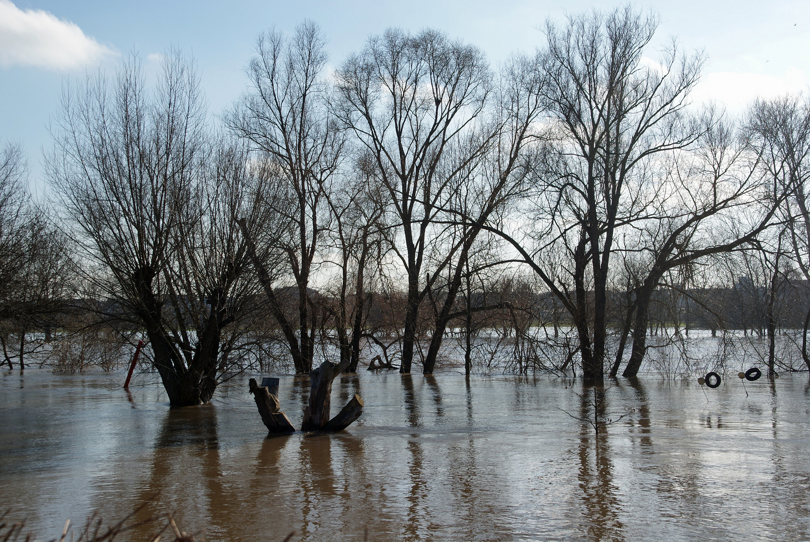 Der Main bei Hochwasser