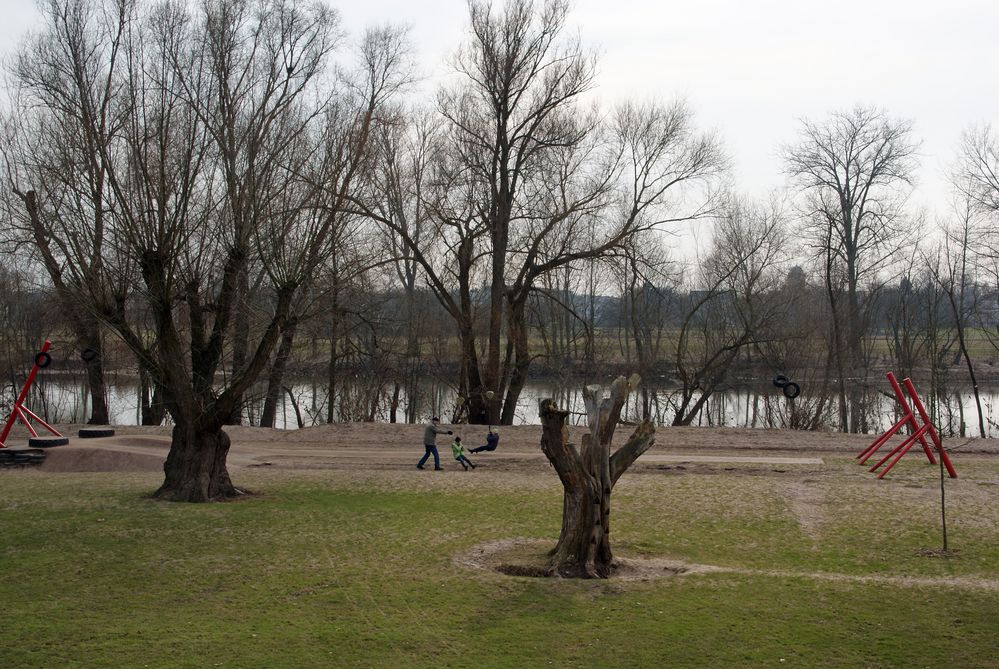 Der Main ohne Hochwasser