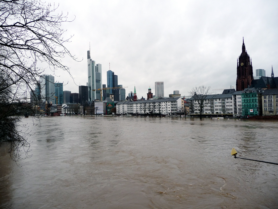 Der Main ufert aus am 13.1.11