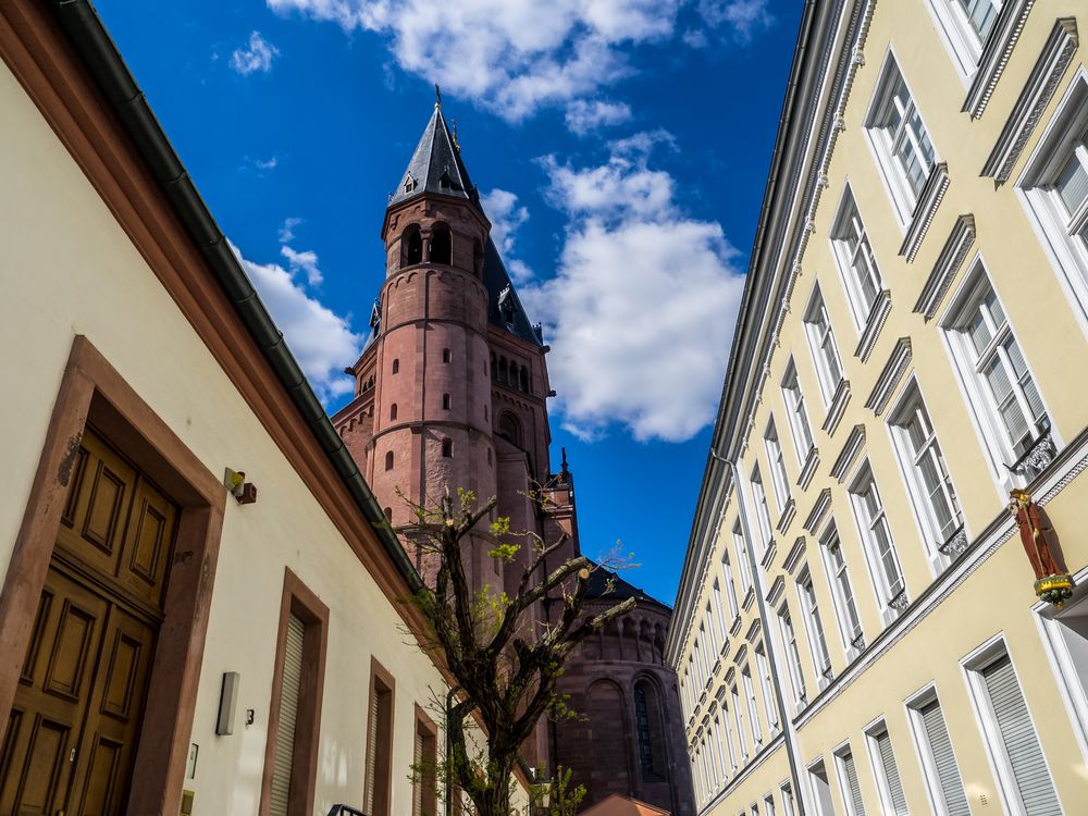 Der Mainzer Dom von Hinten