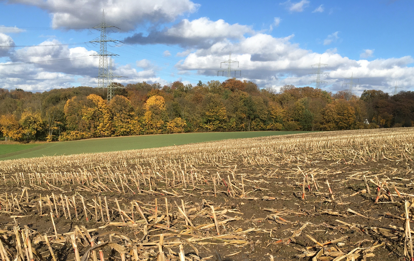 der Mais ist geerntet Foto & Bild landschaft, jahreszeiten, herbst Bilder auf der Mais ist geerntet Foto & Bild landschaft, jahreszeiten, herbst Bilder auf