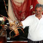 Der Maitre vom Restaurant "La Jetée" in Centuri Port