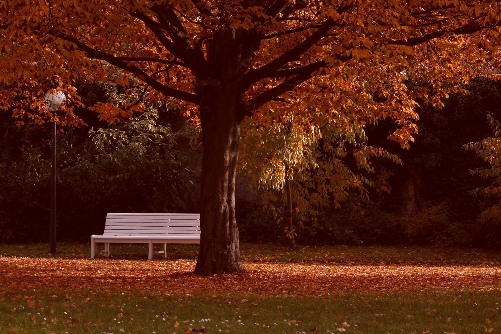 der Maler Herbst