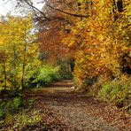 Der Maler Herbst