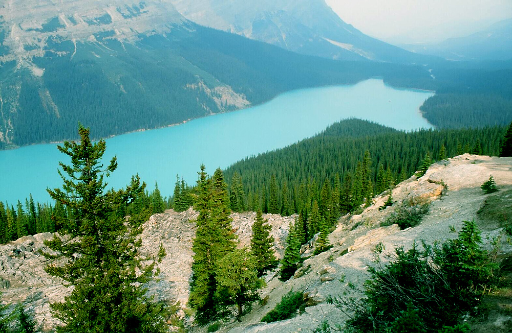 Der malerische Peyto Lake am Icefield Parkway in Britisch Columbia