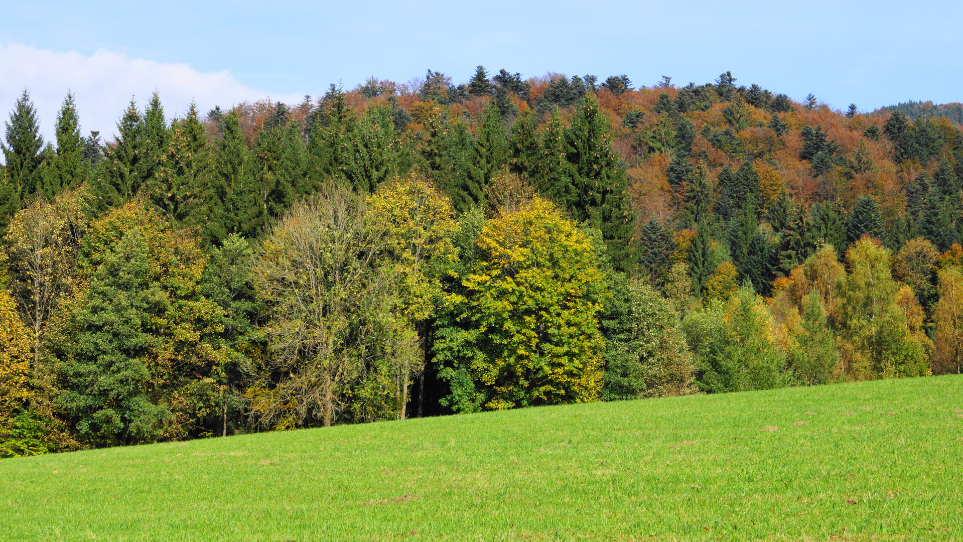 Der Malkasten ist aufgemacht