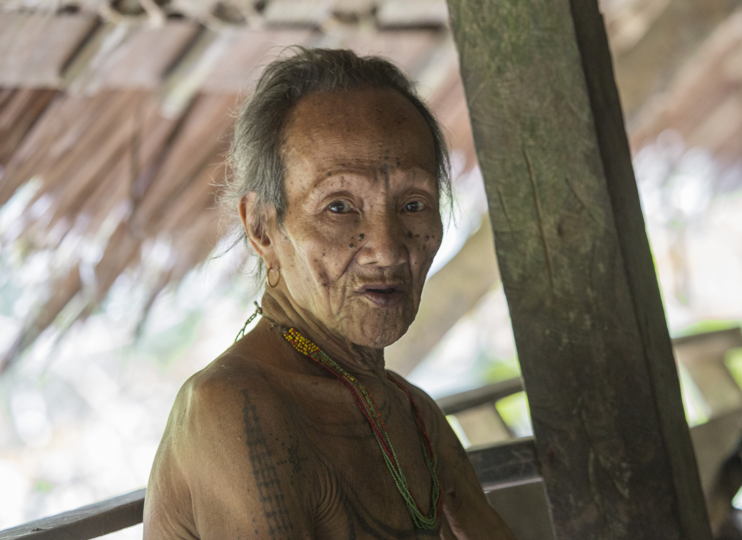 Der Man auf der insel Siberut - Indonesien