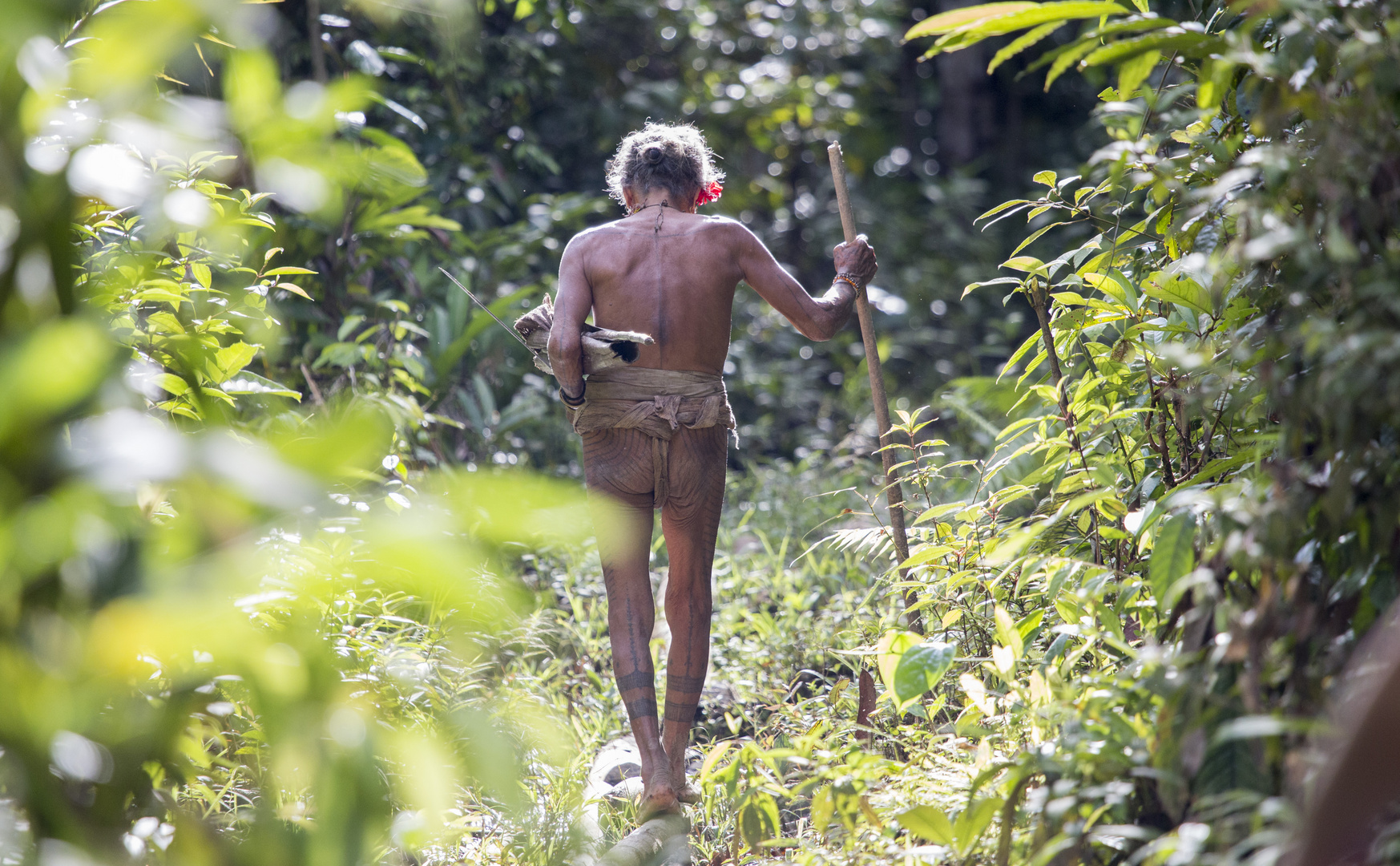 Der man von Siberut, Mentawai, Indonesien