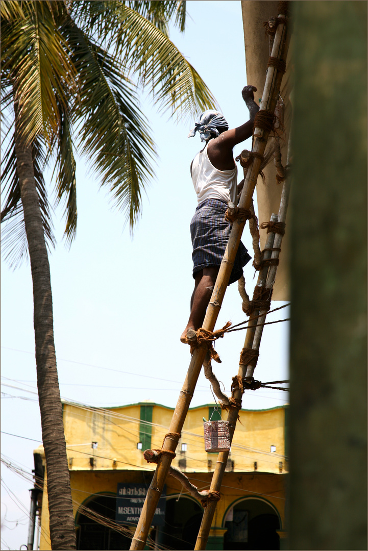 Der Mann Auf Der Leiter Foto Bild Erwachsene Asia India Bilder Auf Fotocommunity