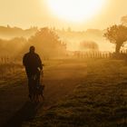 Der Mann, das Fahrrad und der Hund