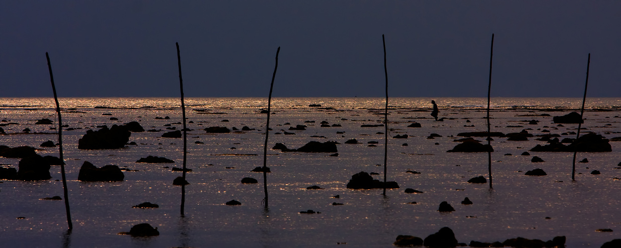 Der Mann Das Meer