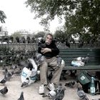 Der Mann, den die Tauben lieben