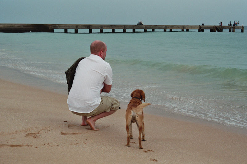 der Mann, der Hund und das Meer