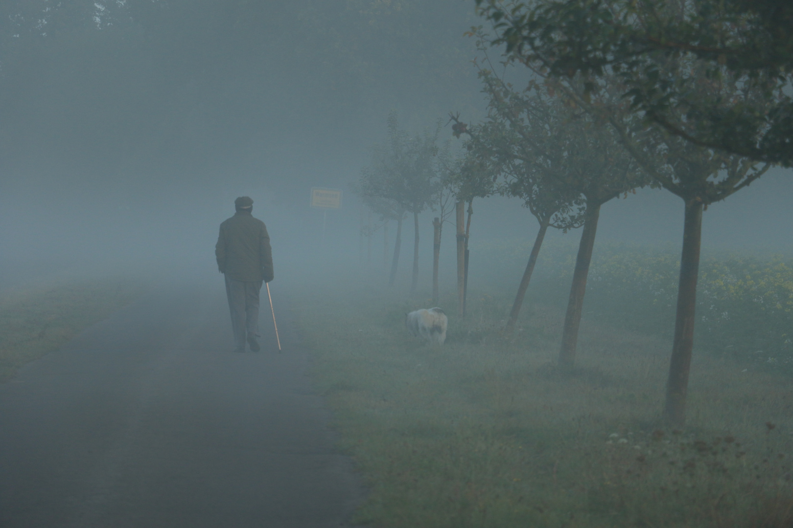 Der Mann, der Hund und der Nebel