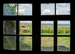 Der Mann hinter dem Fenster