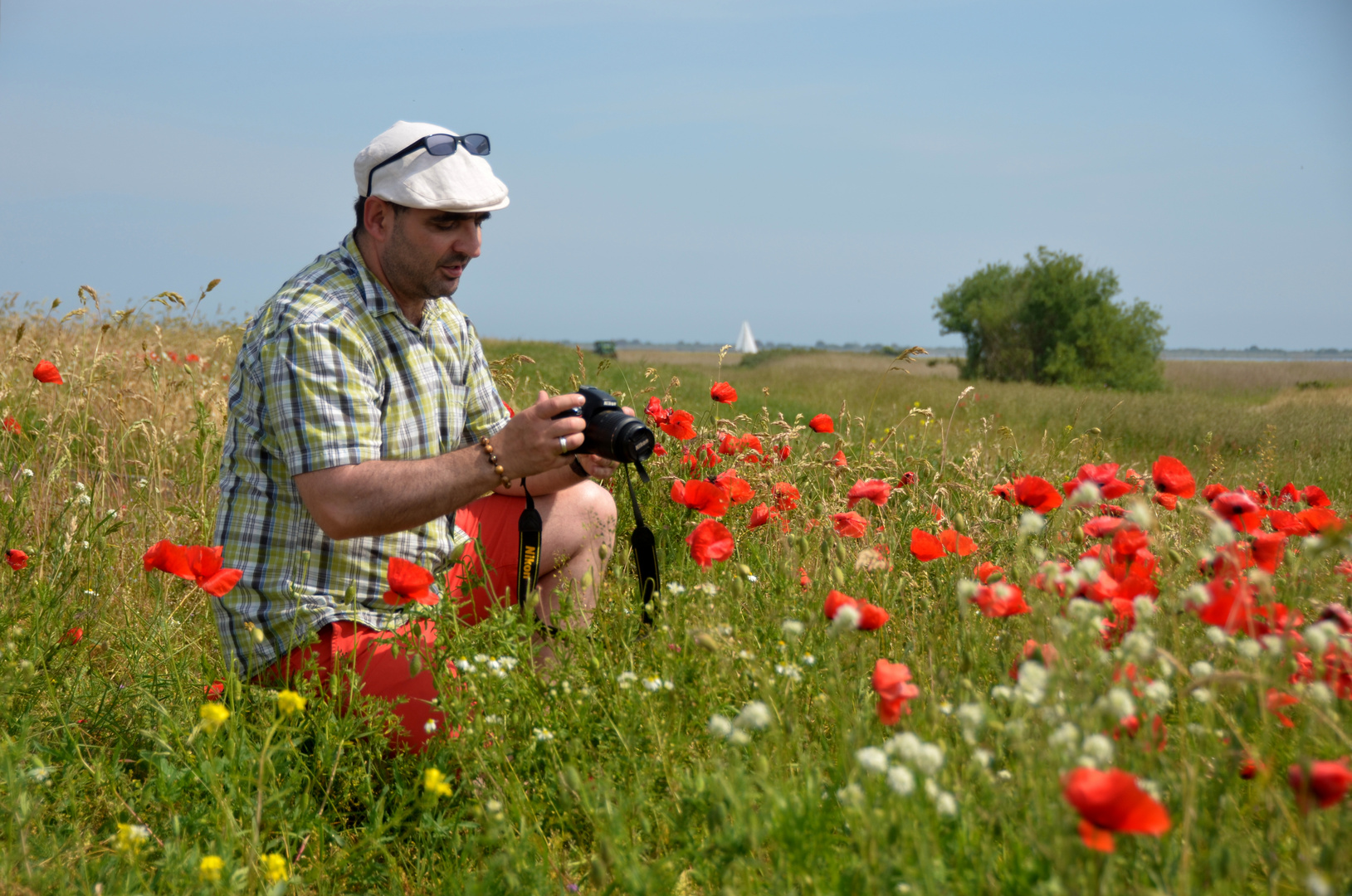 Der Mann im Mohn