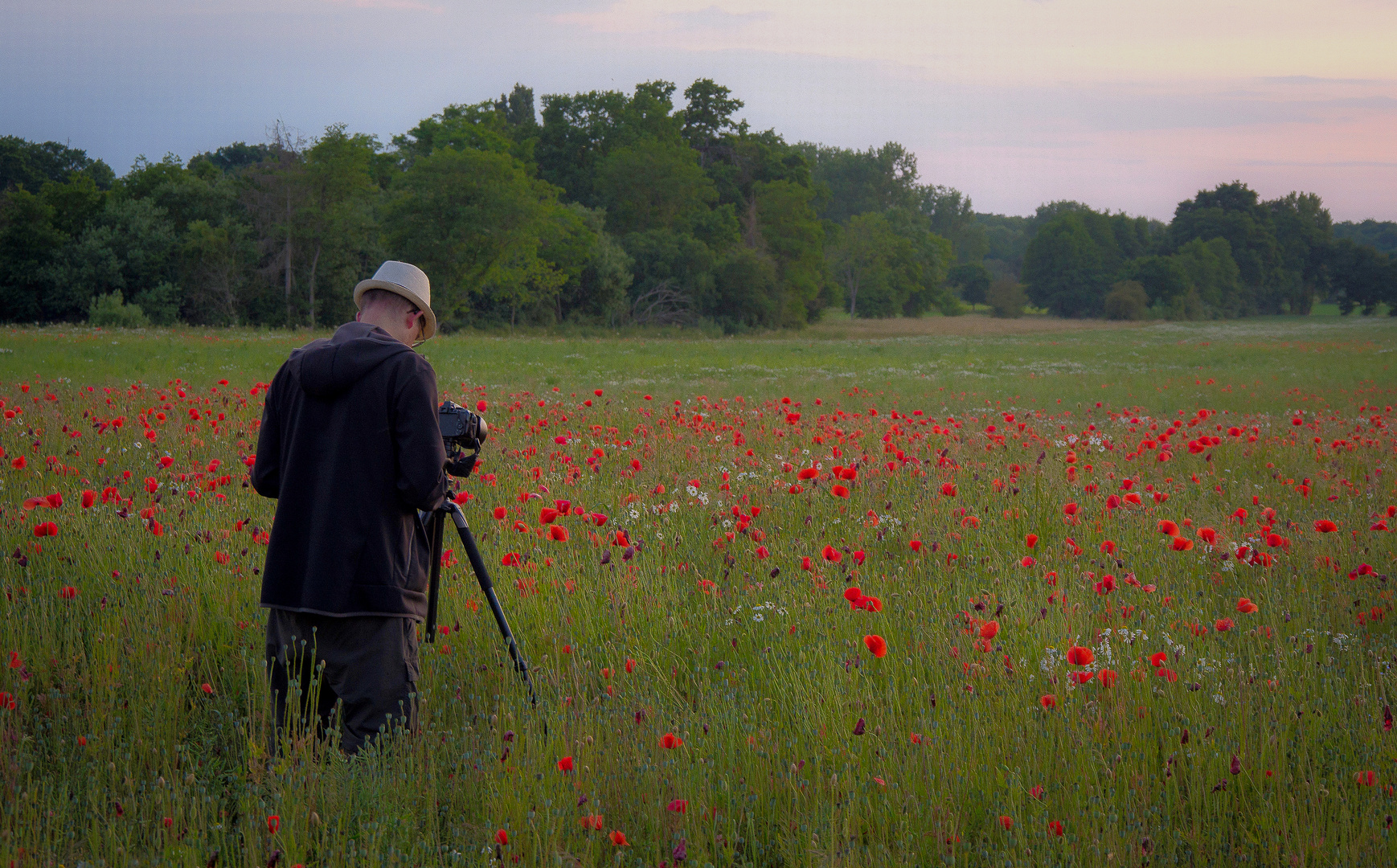 Der Mann im Mohn