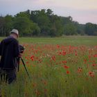 Der Mann im Mohn