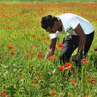 Der Mann im Mohn II