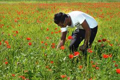 Der Mann im Mohn II