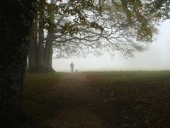 Der Mann im Nebel