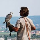 DER MANN MIT DEM FALKEN AUS DEM NORDEN