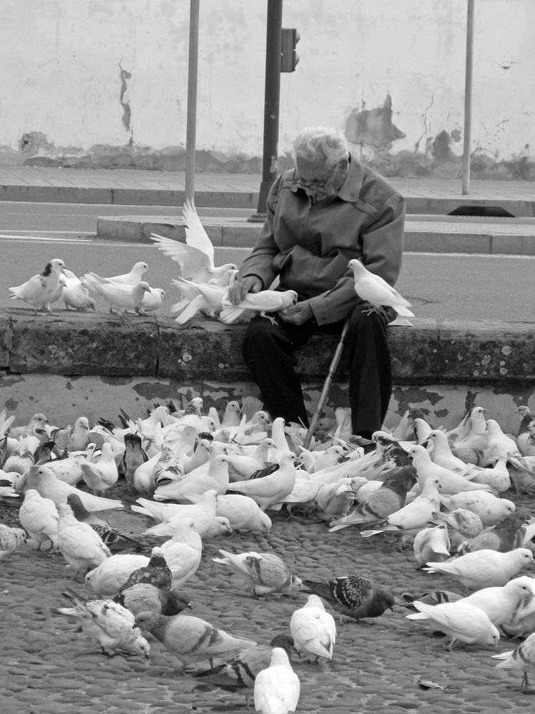 Der Mann mit den Tauben, Cordoba