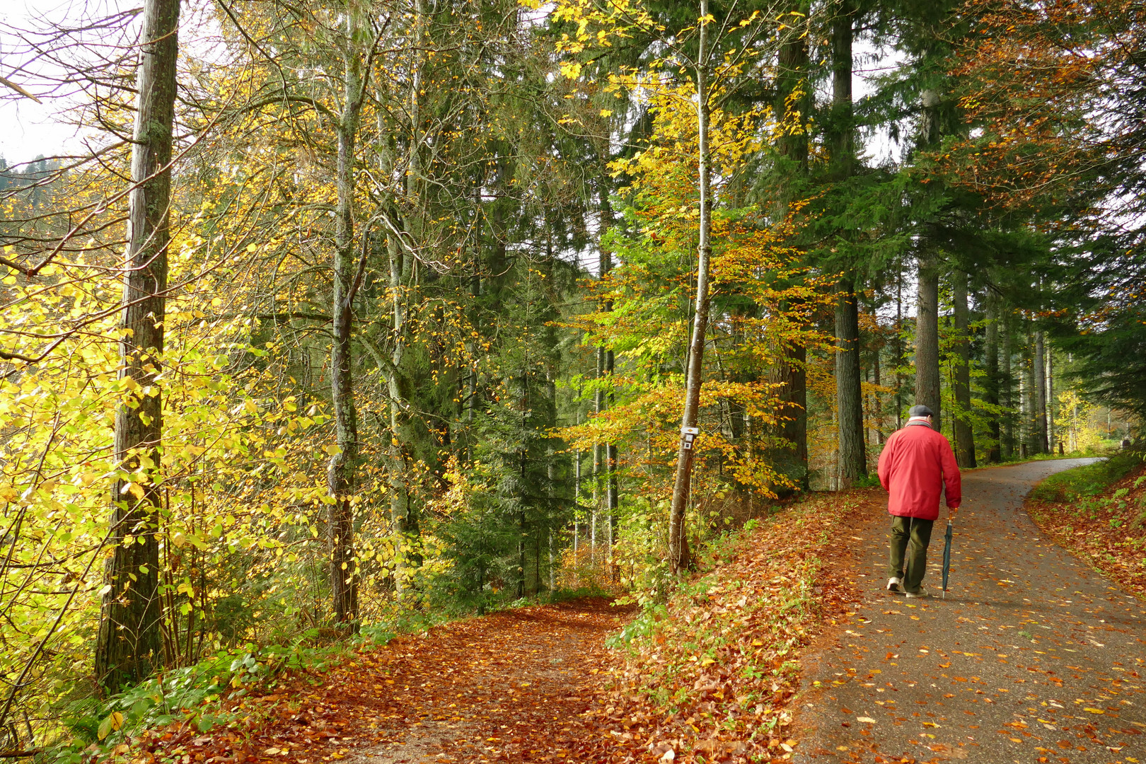 °°°° Der Mann mit der roten Jacke °°°°