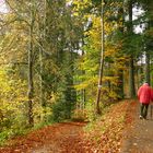 °°°° Der Mann mit der roten Jacke °°°°