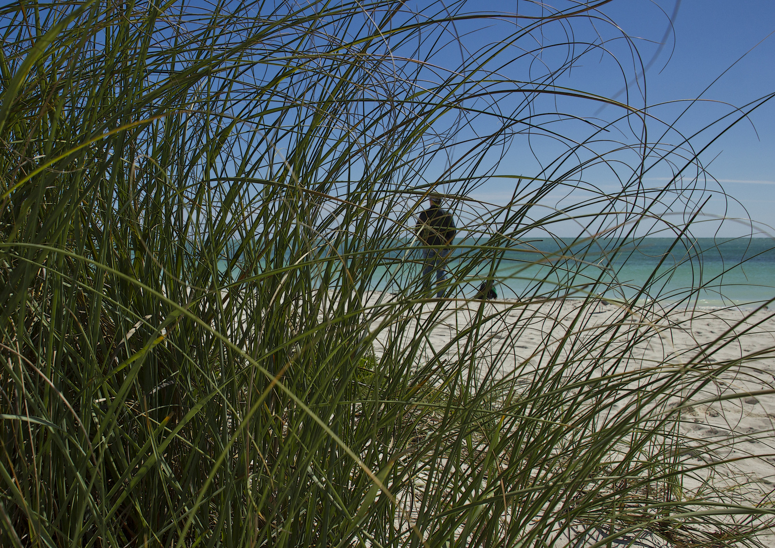 Der Mann und das Meer