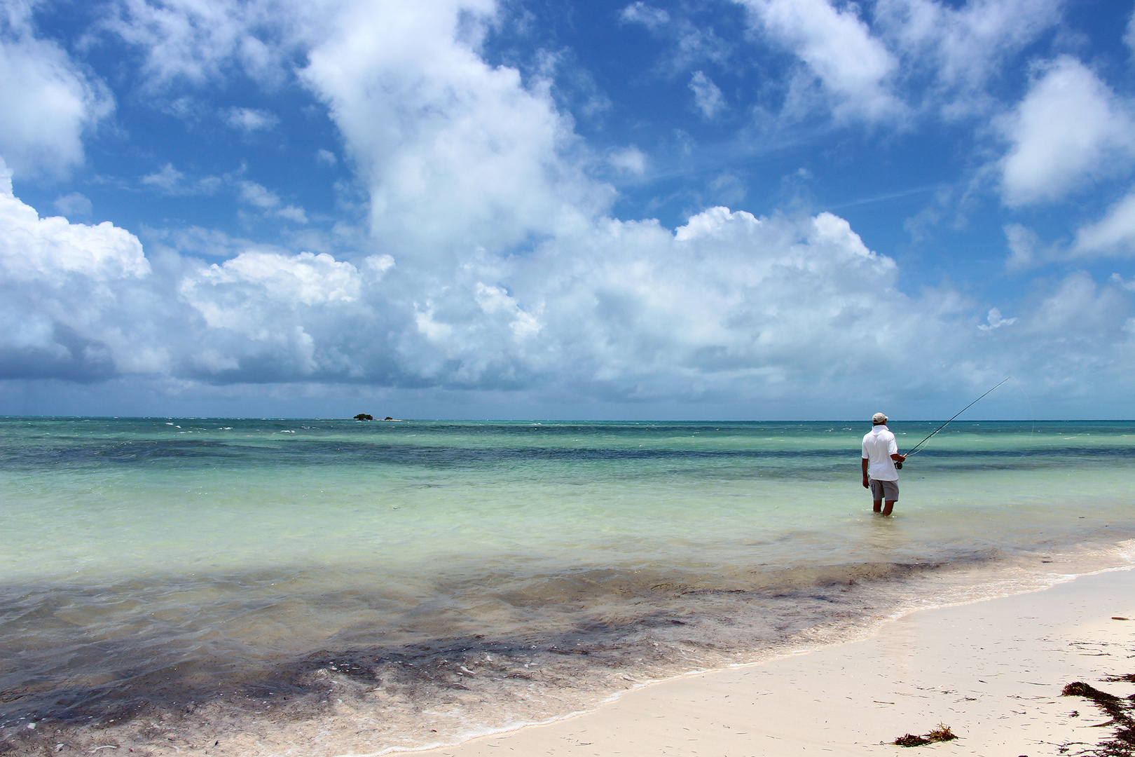 Der Mann und das Meer