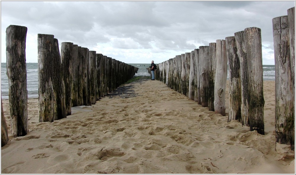 Der Mann und das Meer