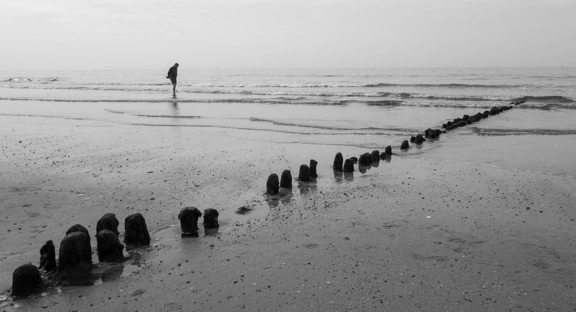 Der Mann und das Meer: Edition Norderney