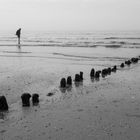 Der Mann und das Meer: Edition Norderney