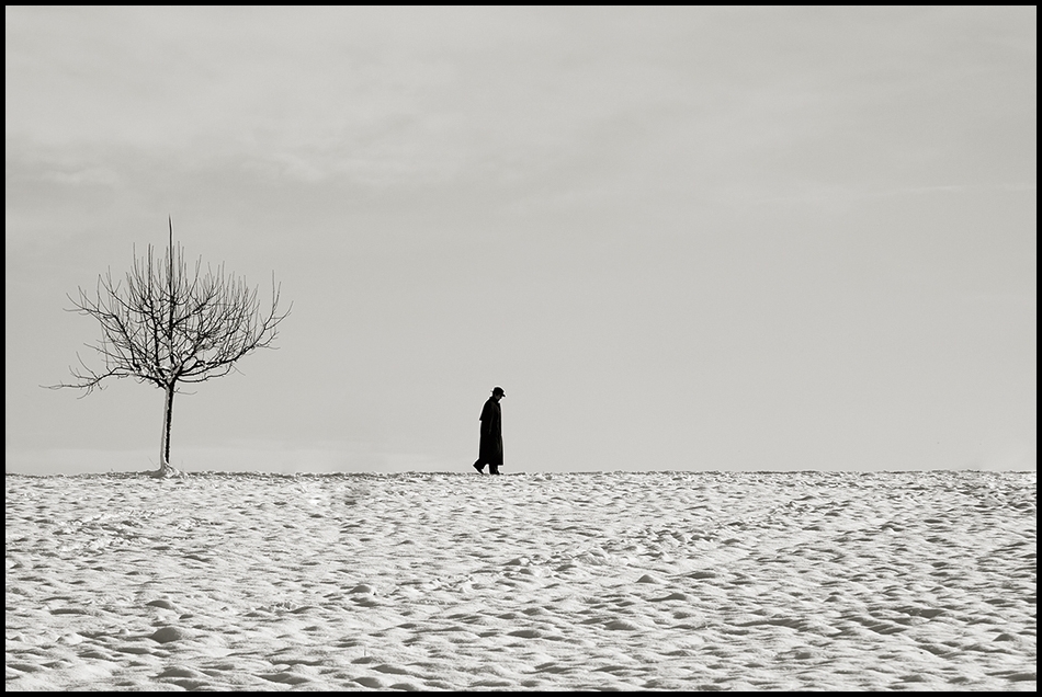 Der Mann und der Baum