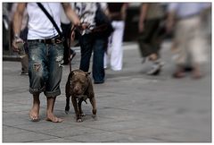 der Mann und sein Hund