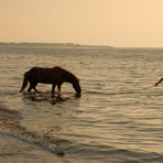 Der Mann und sein Pferd