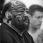 Der Maori