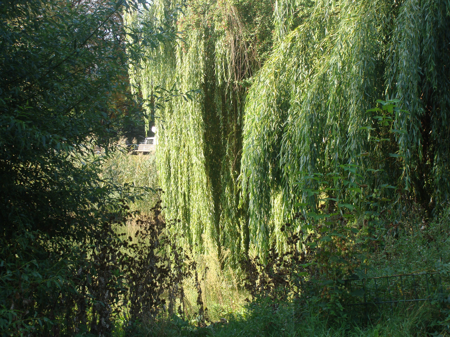 Der Mariendorfer park in Berlin